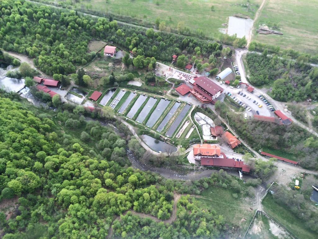 Complex Pastravaria Albota Arpasu de Sus Bagian luar foto