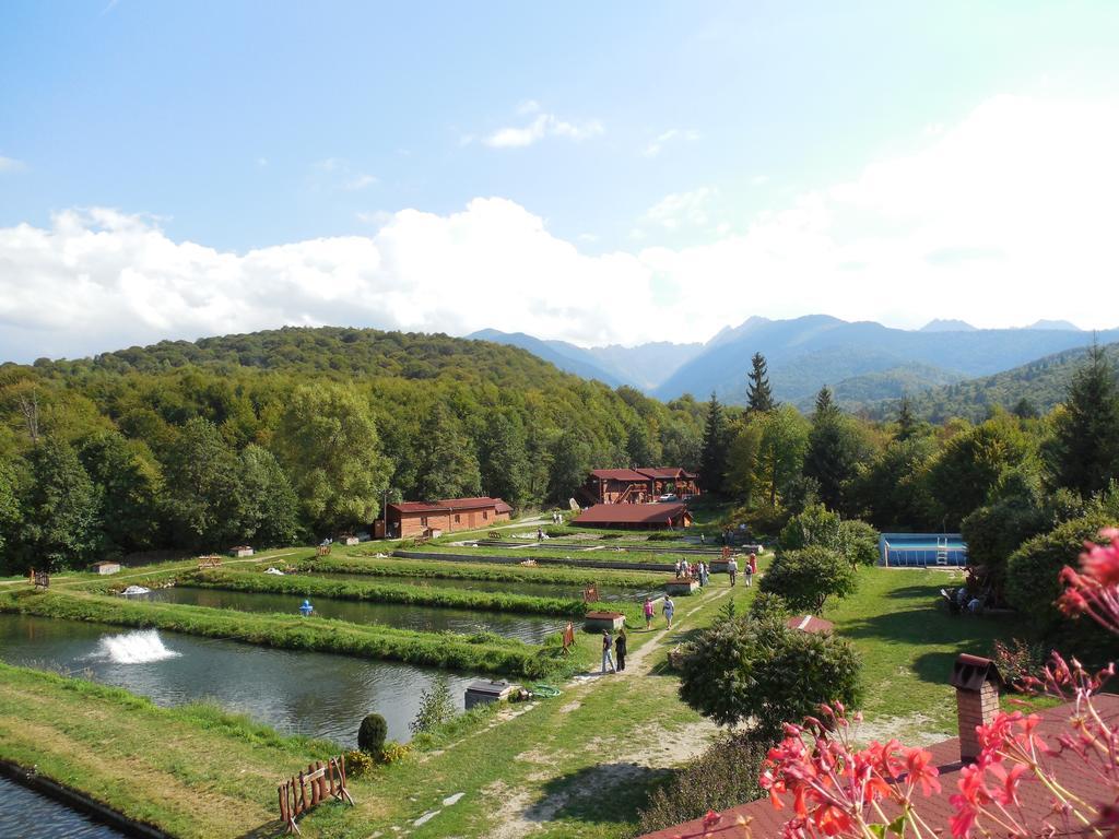 Complex Pastravaria Albota Arpasu de Sus Bagian luar foto