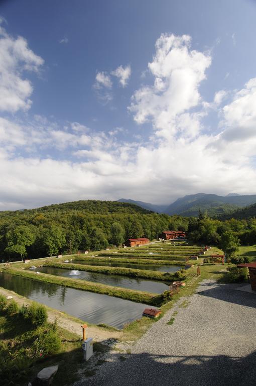 Complex Pastravaria Albota Hotel Arpasu de Sus Bagian luar foto